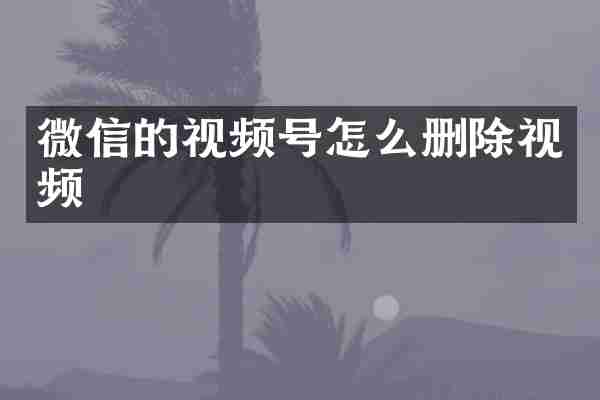 微信的视频号怎么删除视频