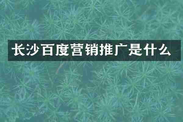 长沙百度营销推广是什么