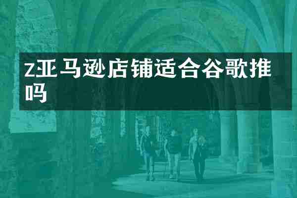 z亚马逊店铺适合谷歌推广吗