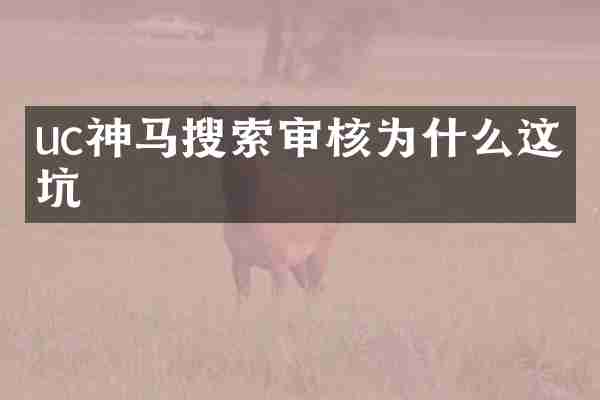 uc神马搜索审核为什么这么坑