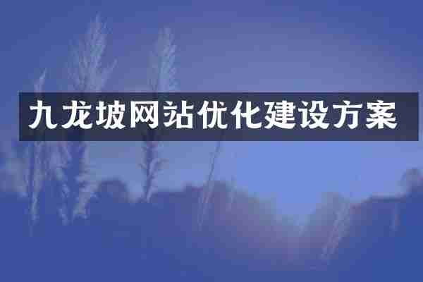 九龙坡网站优化建设方案