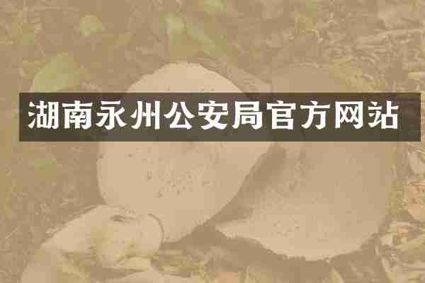湖南永州公安局官方网站