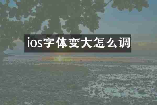ios字体变大怎么调