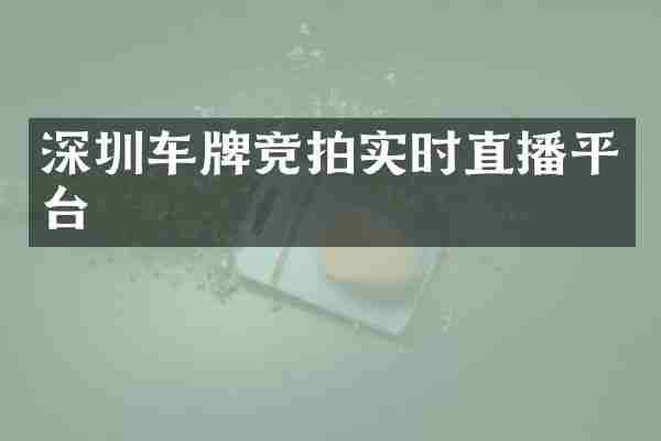 深圳车牌竞拍实时直播平台
