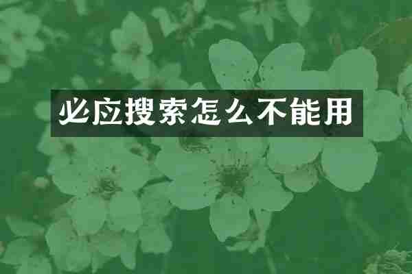 必应搜索怎么不能用