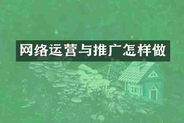 网络运营与推广怎样做