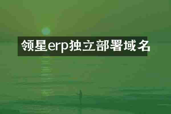 领星erp独立部署域名