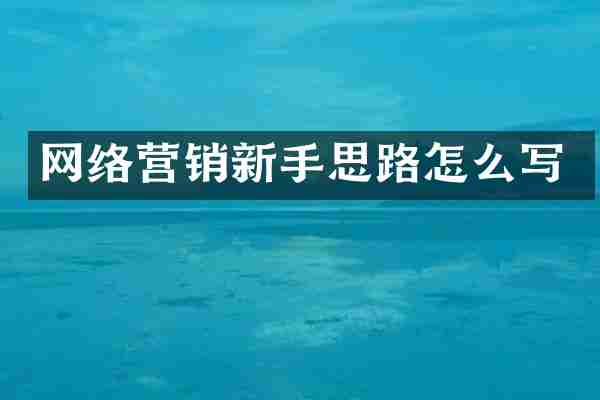 网络营销新手思路怎么写