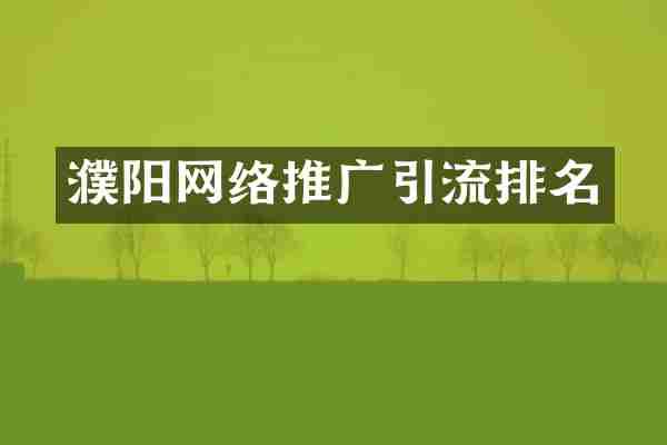 濮阳网络推广引流排名