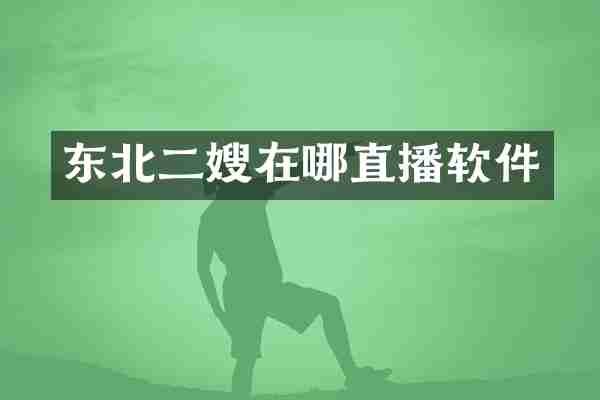 东北二嫂在哪直播软件