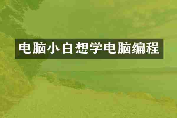 电脑小白想学电脑编程