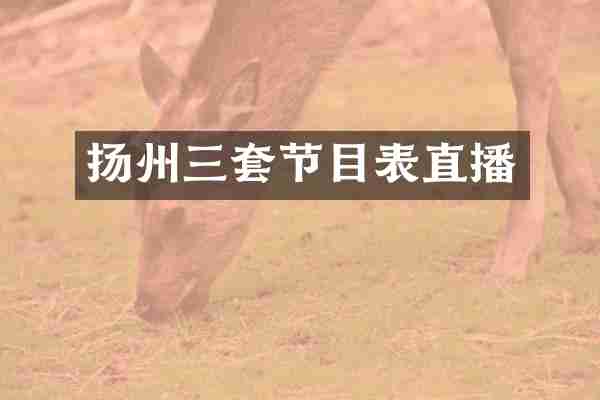 扬州三套节目表直播
