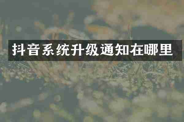 抖音系统升级通知在哪里