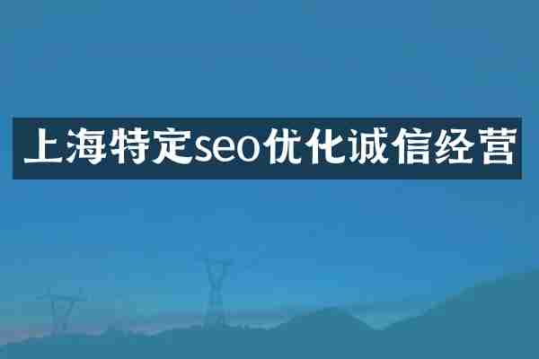 上海特定seo优化诚信经营