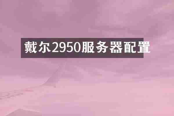 戴尔2950服务器配置