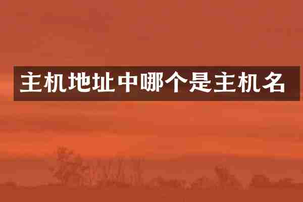 主机地址中哪个是主机名