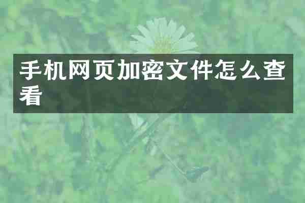 手机网页加密文件怎么查看