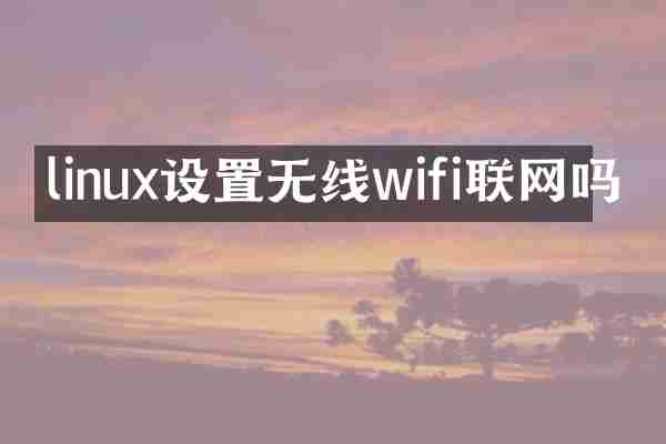 linux设置无线wifi联网吗