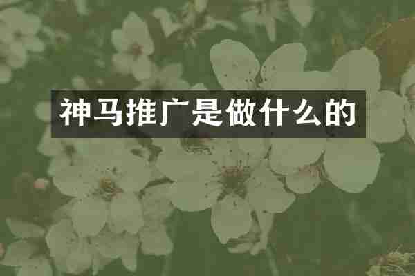 神马推广是做什么的