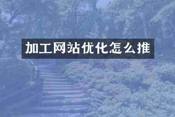 加工网站优化怎么推