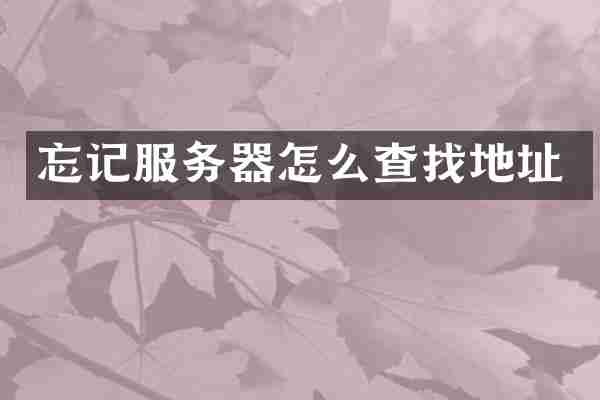 忘记服务器怎么查找地址