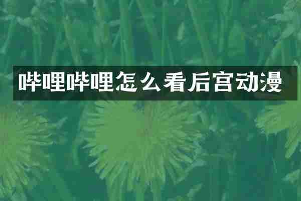 哔哩哔哩怎么看后宫动漫
