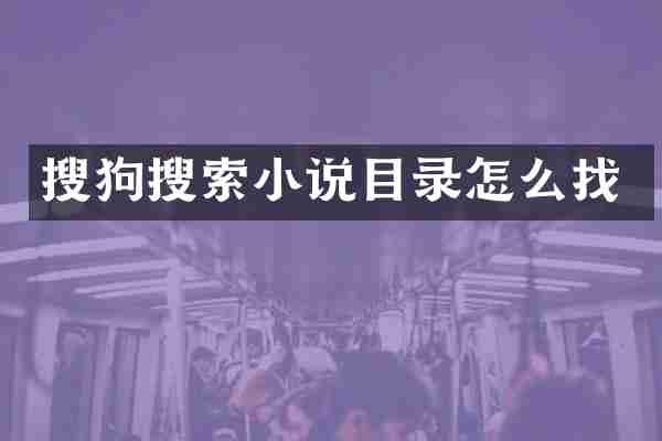 搜狗搜索小说目录怎么找