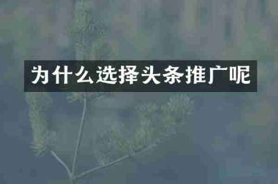 为什么选择头条推广呢