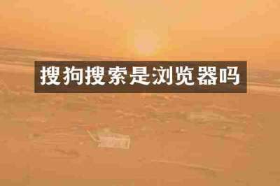 搜狗搜索是浏览器吗