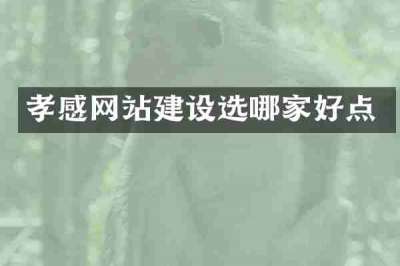 孝感网站建设选哪家好点