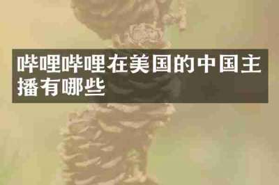 哔哩哔哩在美国的中国主播有哪些