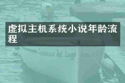 虚拟主机系统小说年龄流程