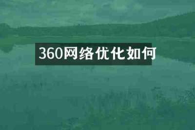 360网络优化如何