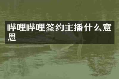 哔哩哔哩签约主播什么意思