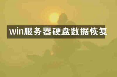 win服务器硬盘数据恢复