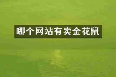 哪个网站有卖金花鼠