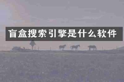 盲盒搜索引擎是什么软件