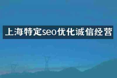 上海特定seo优化诚信经营
