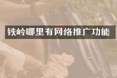 铁岭哪里有网络推广功能