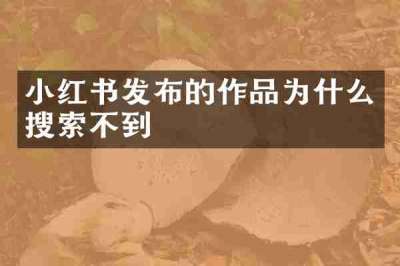 小红书发布的作品为什么搜索不到