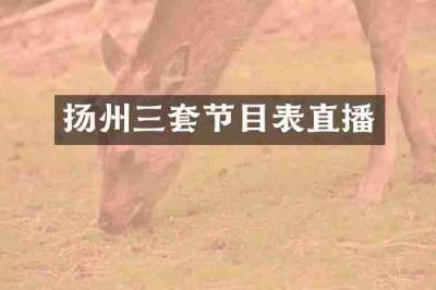 扬州三套节目表直播