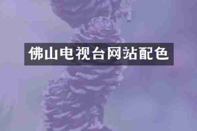 佛山电视台网站配色