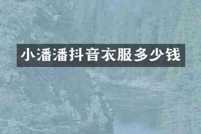 小潘潘抖音衣服多少钱