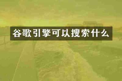 谷歌引擎可以搜索什么