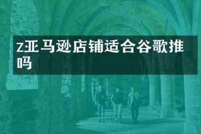 z亚马逊店铺适合谷歌推广吗