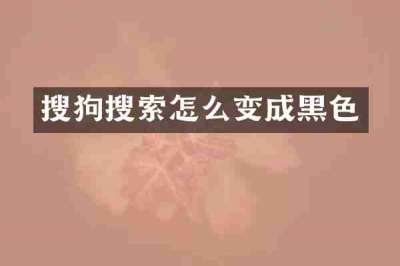 搜狗搜索怎么变成黑色
