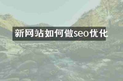 新网站如何做seo优化