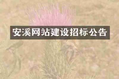 安溪网站建设招标公告