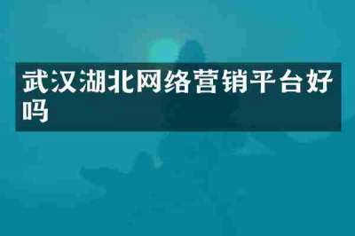 武汉湖北网络营销平台好吗