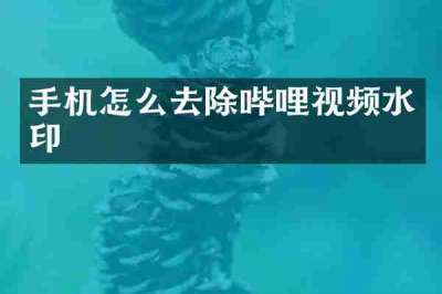手机怎么去除哔哩视频水印